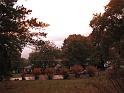 20111103 Sunset at 513 Cassville Road